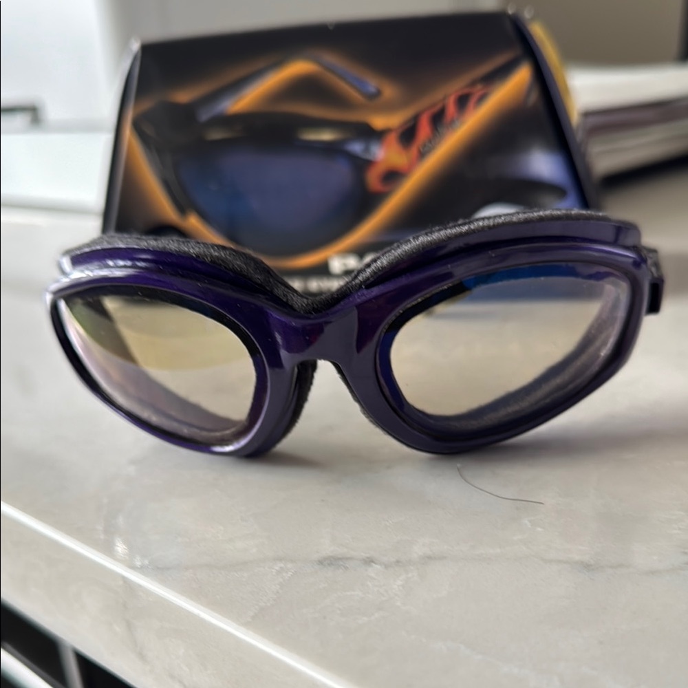 Black and Grape Unisex Glasses
